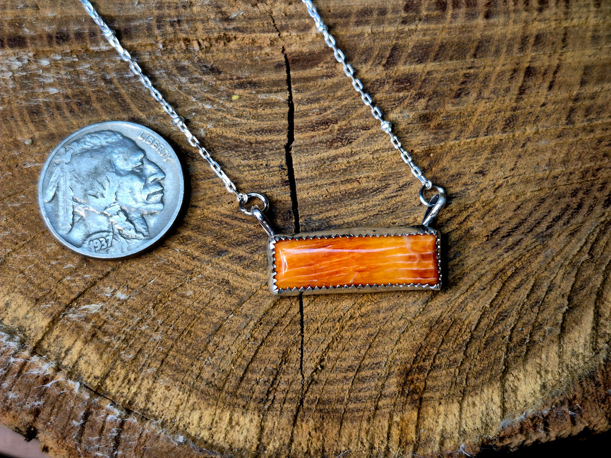 Orange Spiny Bar