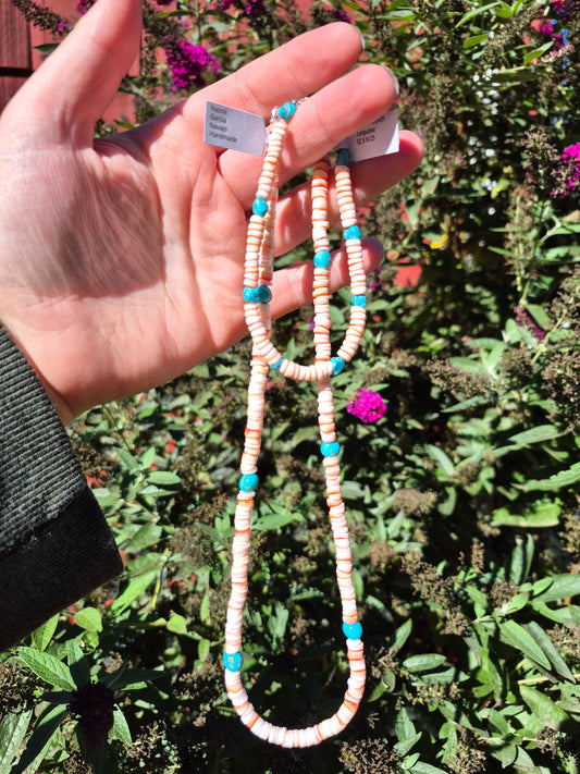 Pink Conch & Kingman set