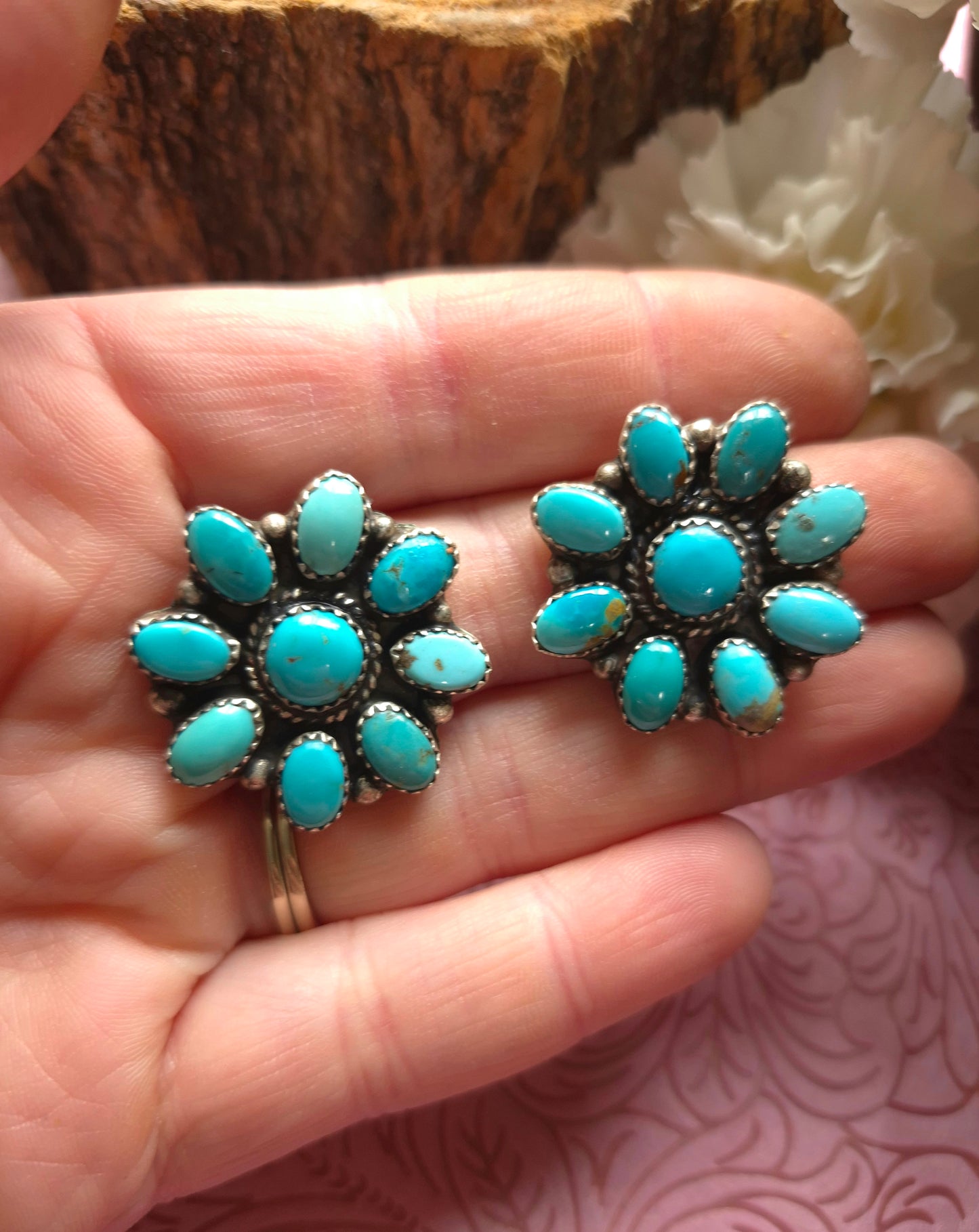 Campitos full clusters