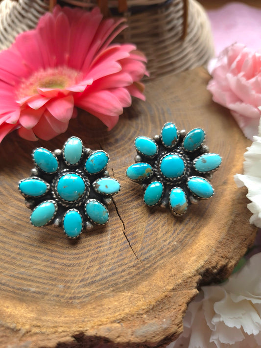 Campitos full clusters