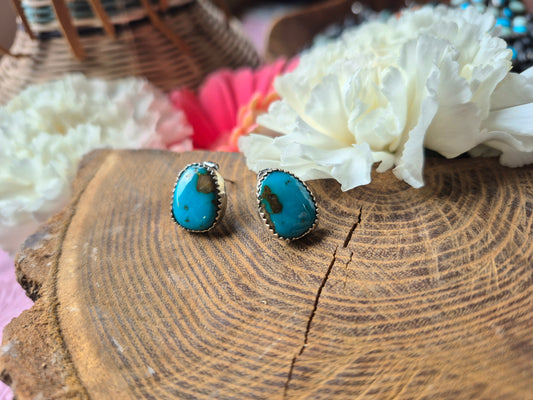 Sonoran Gem Studs