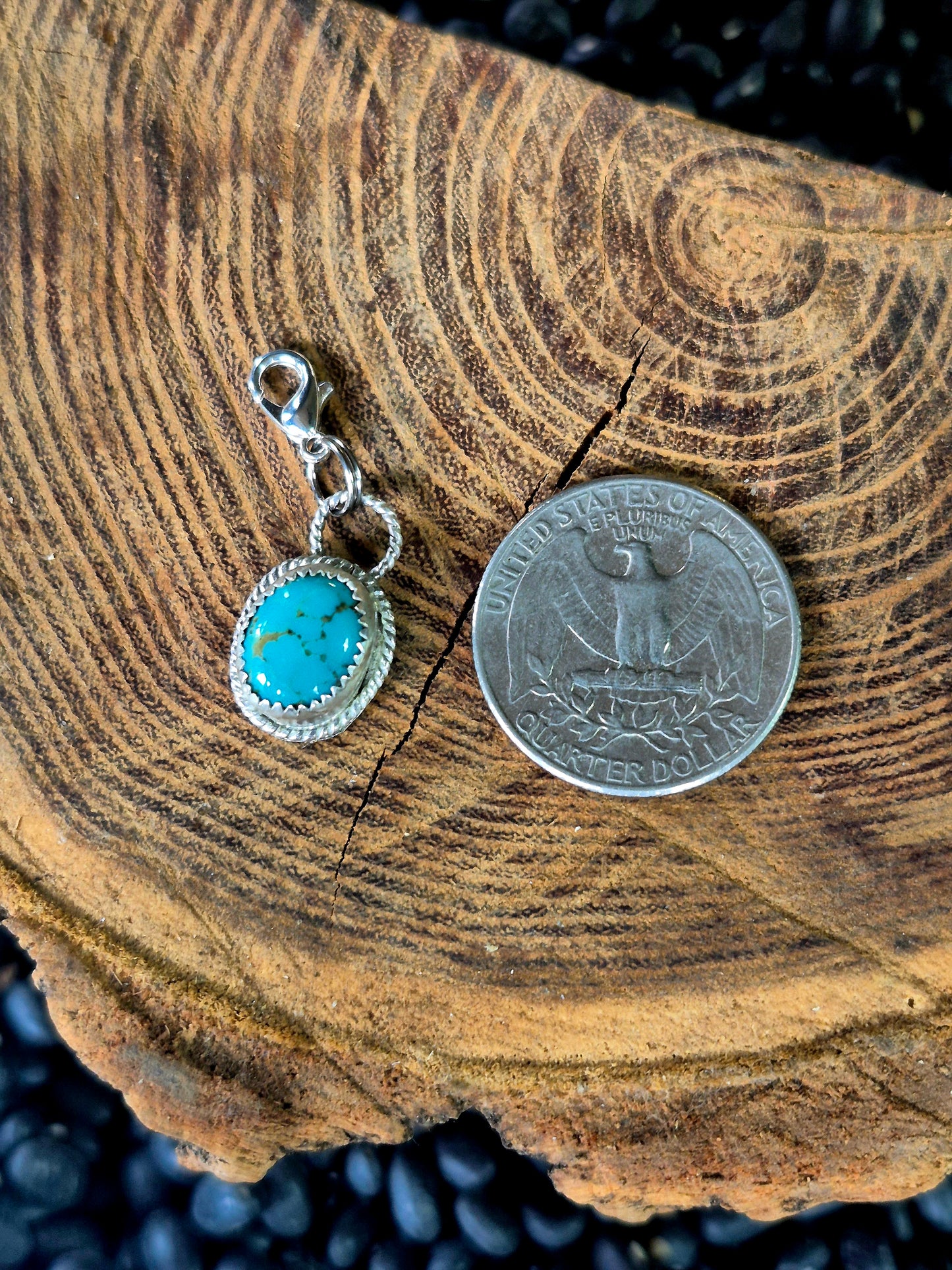 Sonoran Gem Charm
